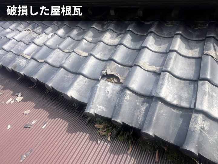 割れた軒先の瓦
