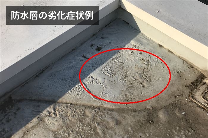 防水層の劣化症状