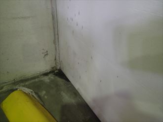 木更津市 ビルの雨漏り調査006_R