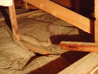 小屋裏調査 木更津市 雨漏り
