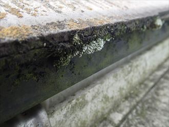 袖ヶ浦市の屋根調査