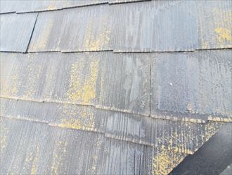 野田市木間ケ瀬で行った築28年が経過したスレート屋根調査で塗装が剥がれ素地が露出しています