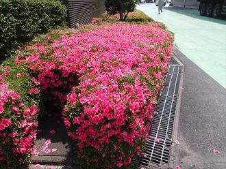 293b62da339178ad1a5221cc28385fb6 市原市 工場のスレート処分、003_R