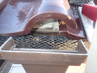 袖ヶ浦 鳥の巣撤去004_R