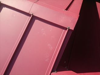 袖ケ浦市　害獣　屋根調査010_R