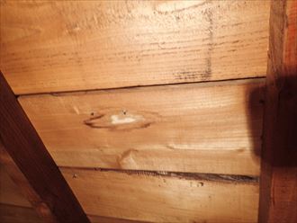 袖ヶ浦市 雨漏り調査 小屋裏005_R