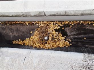 市原市の工場事務所ビルの屋上漏水調査(2)