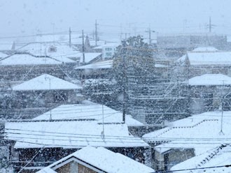 2014年2月の大雪