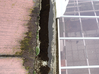雨樋コケ 4012546c49a99648f6878619feb90e63