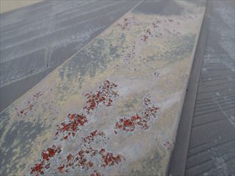 雨漏り調査 袖ヶ浦市