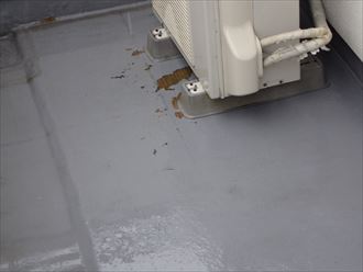 木更津市 防水面調査工事002_R