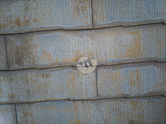 船橋市習志野台で行った化粧スレート屋根調査で雨水を吸収しやすくなっている化粧スレートに苔の発生