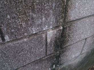 君津市 エフロ004_R