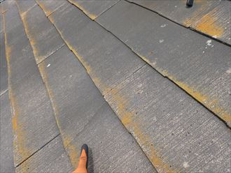 流山市宮園で行ったスレート屋根調査で屋根材にひび割れを発見