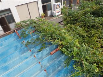 千葉市 折板屋根の塗装調査002_R