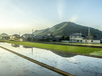 田園風景