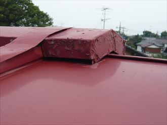 君津市 金属屋根の雨漏り調査007_R