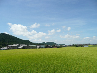 田園風景