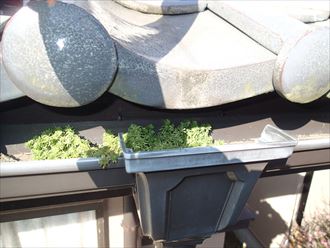 袖ヶ浦市　雨樋調査9