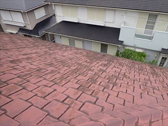 市原市 台風被害 コロニアル007_R