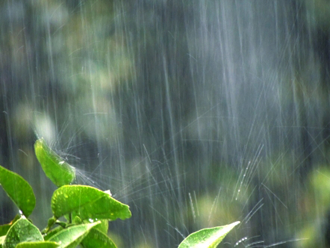 雨 雨