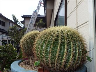 千葉市 折板屋根の塗装調査007_R