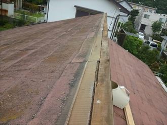 市原市　片棟交換001_R.jpg
