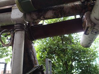 千葉市　雨樋調査008_R.jpg