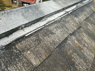 市原市 棟板金調査