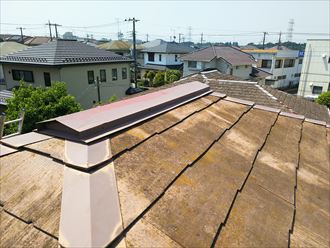 木更津市 苔の発生による雨水の滞留