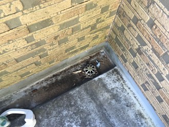 IMG_9386 排水溝廻りの苔、カビ