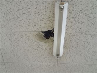 君津市 天井染み