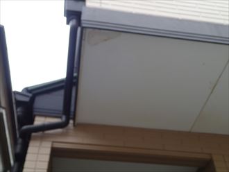 市原市 染みの広がり