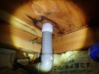 袖ケ浦市 屋根裏調査