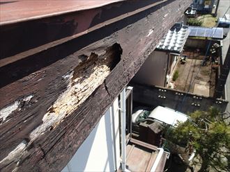 君津市 木部の腐食による穴