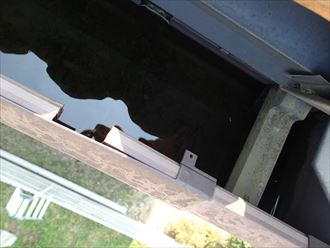 市原市 雨樋の詰まり