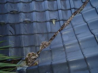 君津市 谷板金の詰まり