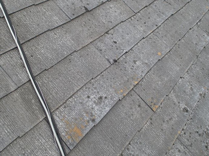 木更津市 素地の露出