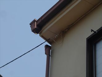 市原市 雨樋の破損