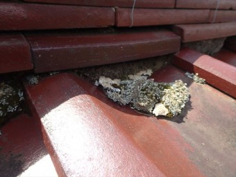 木更津市 漆喰の剥がれ