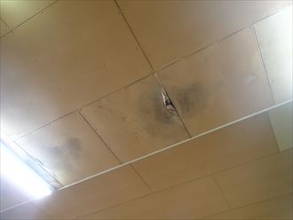 富津市 天井雨染み