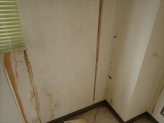 市原市 クロスに出来た染み