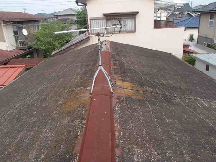 OLYMPUS DIGITAL CAMERA スレート屋根の雨漏り箇所調査
