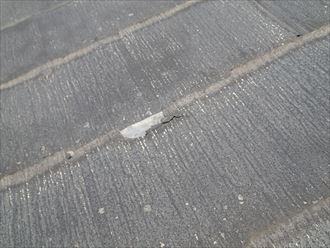 木更津市 化粧の剥がれ