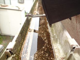 木更津市　雨水の滞留