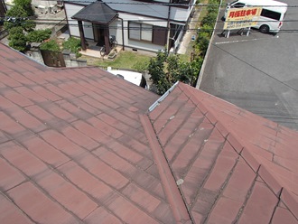 OLYMPUS DIGITAL CAMERA スレート屋根の調査実施、苔カビ