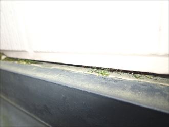 OLYMPUS DIGITAL CAMERA 水切りサイディング