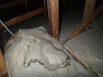 木更津市 屋根裏雨漏り調査
