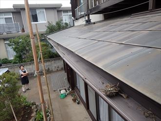 木更津市　雨樋排水不良の原因