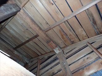 木更津市 屋根下地に問題なし